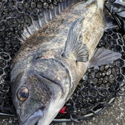 夜勤前寝坊チニング