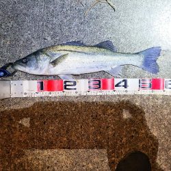 極寒フィッシングあれこれ。