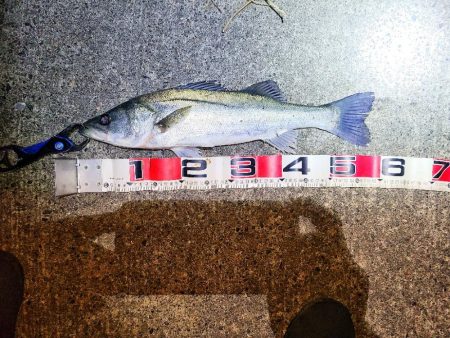 極寒フィッシングあれこれ。