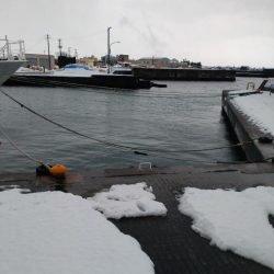 カサゴ1匹のみ…