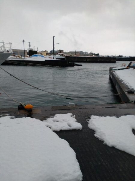 カサゴ1匹のみ…