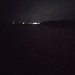 今シーズン初ヤリイカ　3杯！