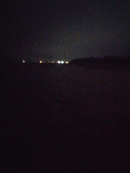 今シーズン初ヤリイカ　3杯！