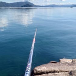 厳寒期の広島湾でチヌ釣り