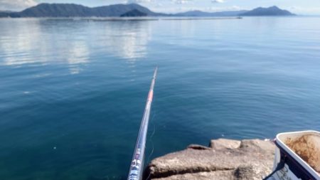 厳寒期の広島湾でチヌ釣り