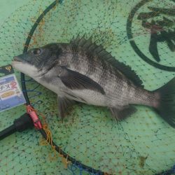 ついにこの日が…