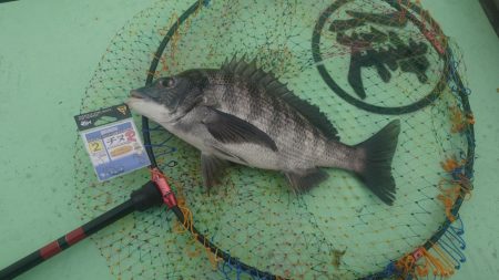 ついにこの日が…