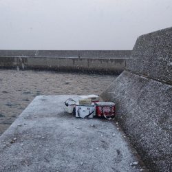 厳寒期の価値ある一匹