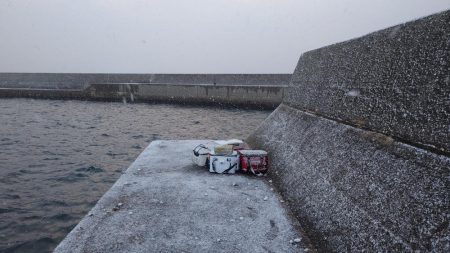 厳寒期の価値ある一匹