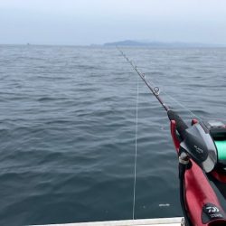 今シーズン最後のタチウオ釣りに行ってきました