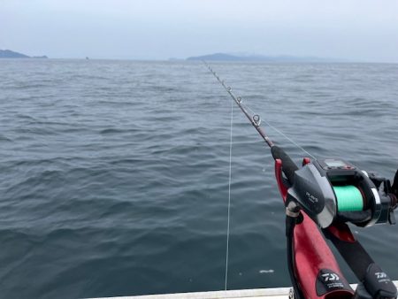 今シーズン最後のタチウオ釣りに行ってきました