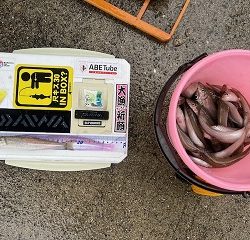 真冬のサーフでキス釣りしてきました