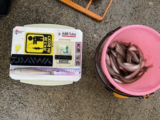 真冬のサーフでキス釣りしてきました