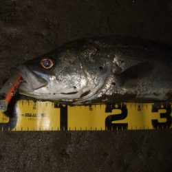 1バイトが貴重な厳寒期