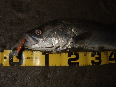 1バイトが貴重な厳寒期