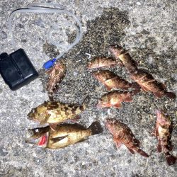 極寒のウキ釣り