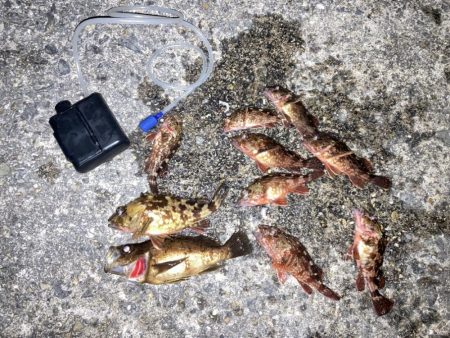 極寒のウキ釣り