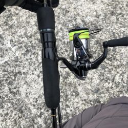 当たりポツポツ