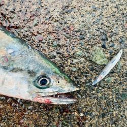 久々のマルチヒット