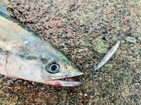 久々のマルチヒット