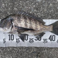 イチノ兄弟、釣果!