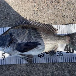 イチノ兄弟、釣果！