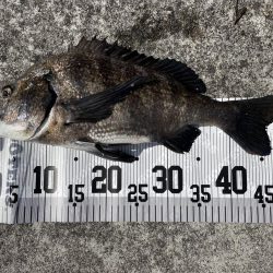 イチノ兄弟、釣果!