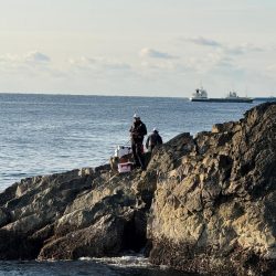 和歌山市串本出雲（谷口渡船）でグレ釣り大会