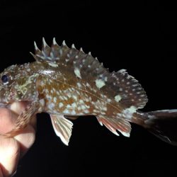 極寒のなかガシリング