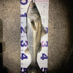 バレンタインデーフィッシュ‼️