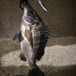 ファーストフィッシュ