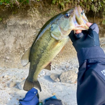 台風なみの爆風にて💨