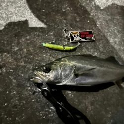 んー…やらかした…