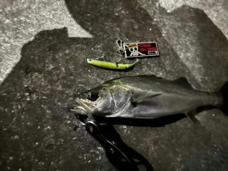 んー…やらかした…