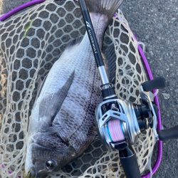 夕まずめチニング！