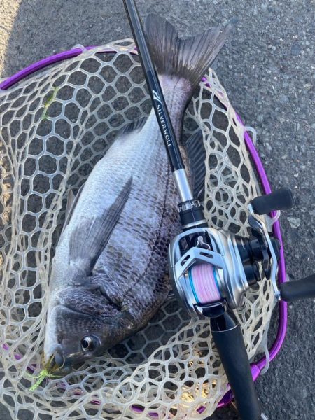 夕まずめチニング！