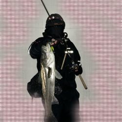 もう再販して欲しい!上州屋浦安店さんお願い!