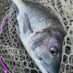 極寒激渋チニング！