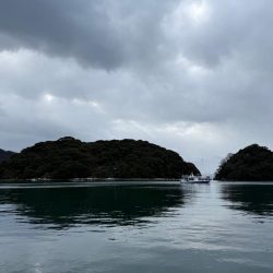 ヤリイカエギング