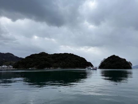 ヤリイカエギング