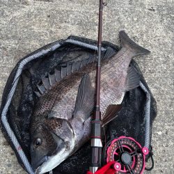 ヘチってきました