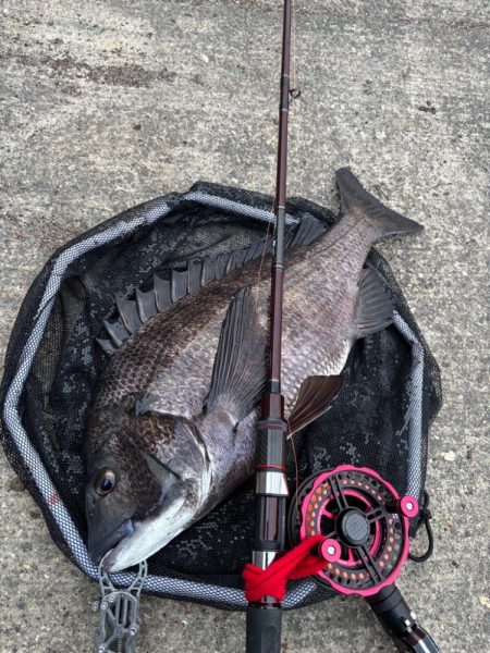 ヘチってきました