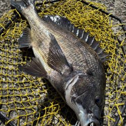 ヘチってきました