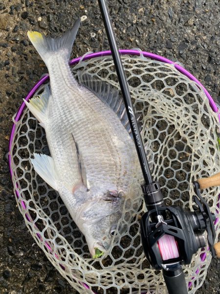 極寒チニング！