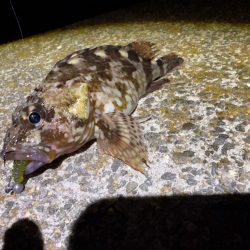 久しぶりにガシリング