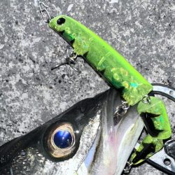 狙い通り！ちゃんとやれば二投目で釣れる！