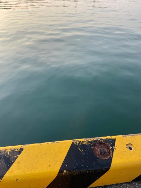 カマスを求めて