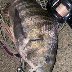 仕事帰り15分チニング！