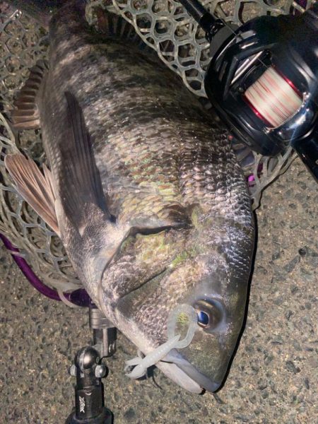 仕事帰り15分チニング！