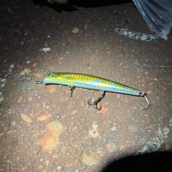 バチの姿は見えないが、バチ食いか?